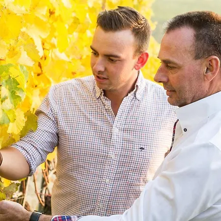 Weinberghof Ilkerl-luf 3* 多瑙河畔克雷姆斯