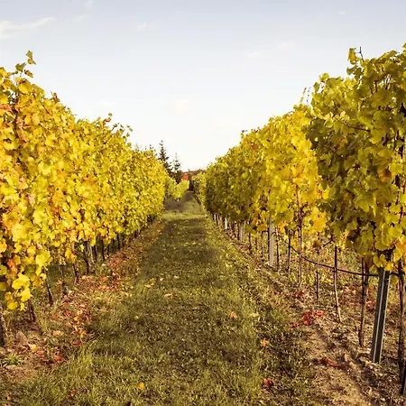 Weinberghof Ilkerl-luf