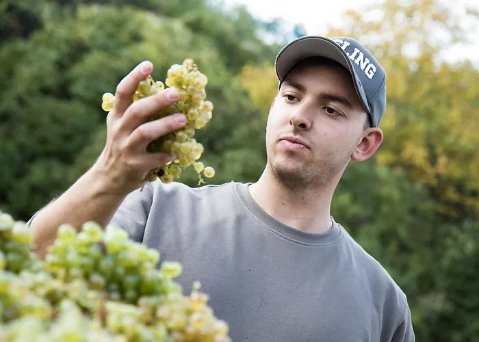 Weinberghof Ilkerl-luf Bed & Breakfast