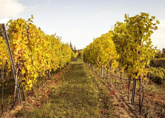 Weinberghof Ilkerl-luf