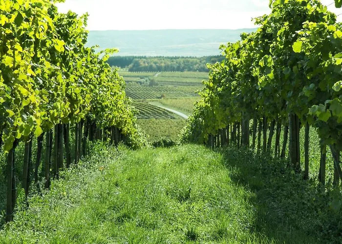 Weinberghof Ilkerl-luf Bed & Breakfast 3*