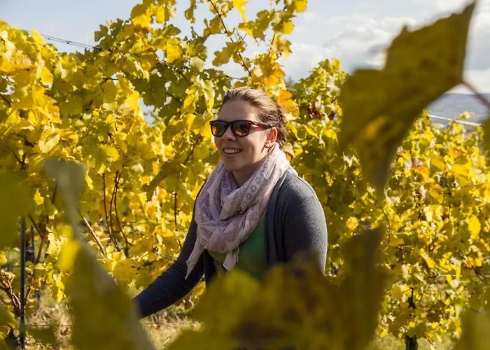 Weinberghof Ilkerl-luf Bed & Breakfast Krems an der Donau